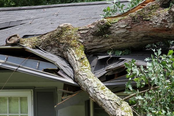 Cost of Storm Remediation in Greeley
