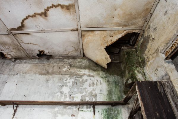 Water Damage Service in Greeley
