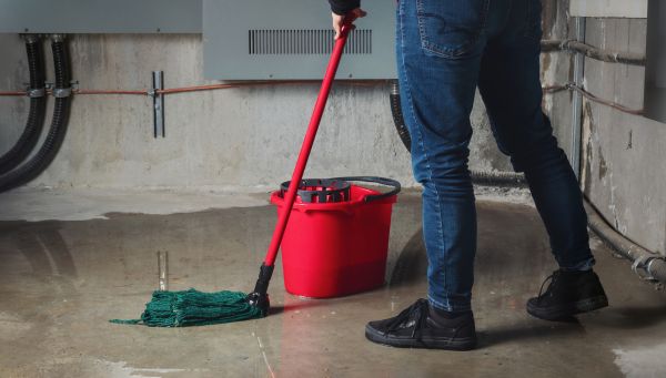 Cost of Flooded Basement Cleanup in Greeley