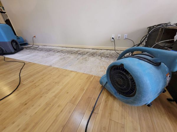 Cost of Water Damage Mitigation in Greeley