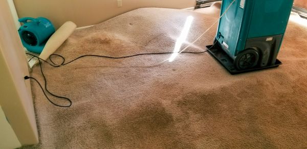 Flood Damage Cleanup in Greeley