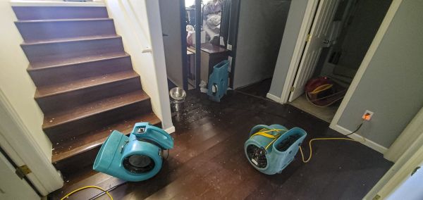 Water Damage Remediation in Greeley
