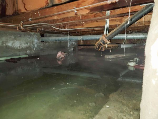 Cost of Water Mitigation Service in Greeley