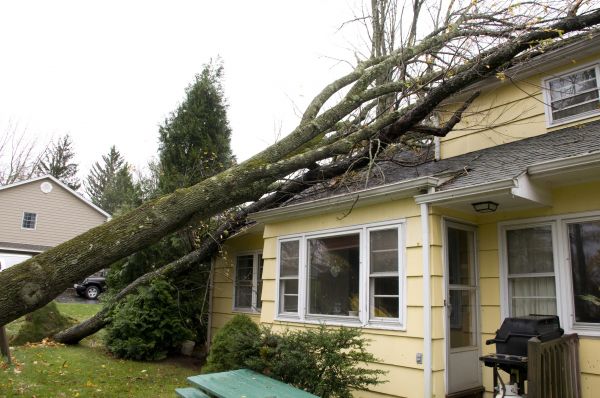 Hurricane Damage Repair in Greeley